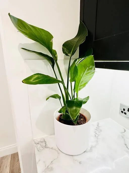 Beautiful Flat In Windsor Court Apartment Brighton United Kingdom